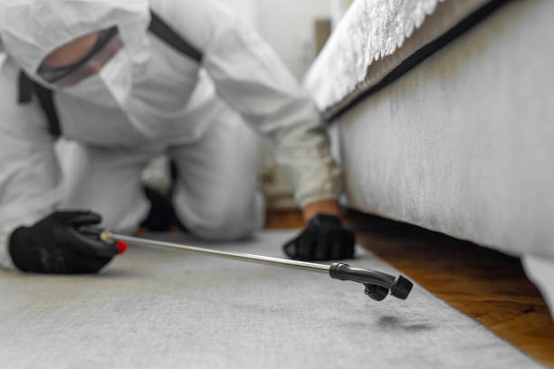 Professional Pest Control technician working in Ceredo, WV