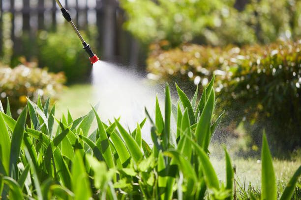 24/7 Emergency Pest Control experts in Ceredo, WV