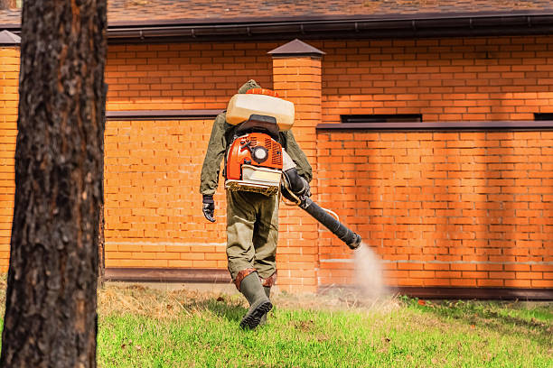 Top rated local Pest Control specialists in Ceredo, WV